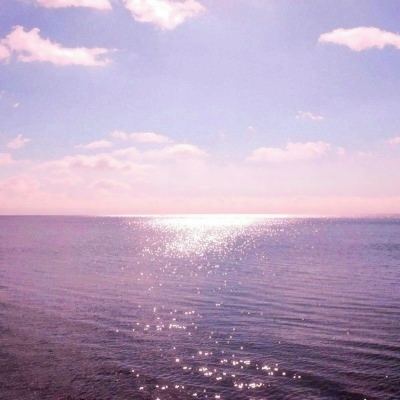 博鱼半岛在线登录