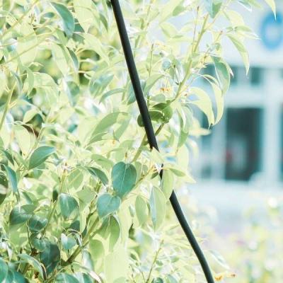 246天天好彩app下载